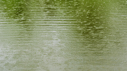 Water ripples on a pond surface during heavy rain.