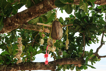 Closeup of wIshing tree in Thailand decorated with traditional offerings.