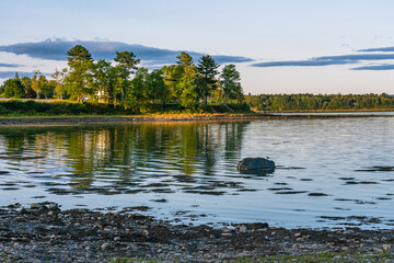 Wildlife in New England. View of the Gulf of the Atlantic Ocean in calm weather at low tide in the evening