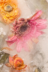still life with flowers and ice - 511271759
