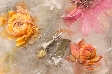 vintage background with roses and water - 511271760