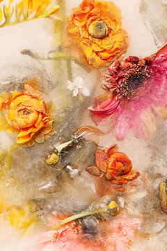 iced bouquet