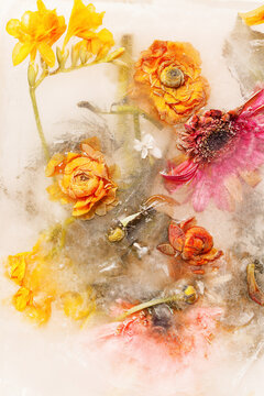 iced bouquet