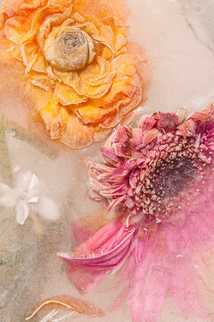 iced bouquet