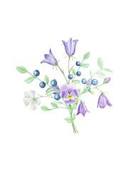 Bouquet of wild blueberries and flowers. Wild bouquet. Watercolor illustration.