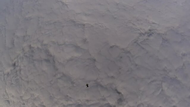 jump from an airplane in a wingsuit above the clouds, parachute jump into a blanket of clouds