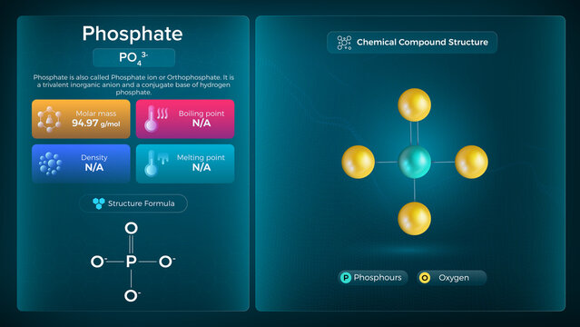 Phosphate Properties and Chemical Compound Structure -  Vector Design
