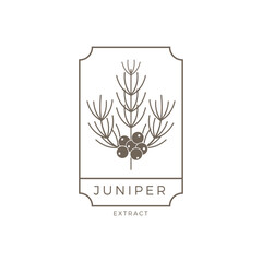 Juniper Outline Logo Premium Vector Design