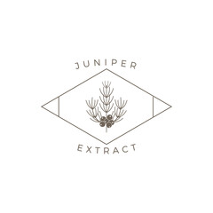 Juniper Outline Logo Premium Vector Design