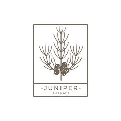 Juniper Outline Logo Premium Vector Design