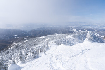 Fototapeta premium 四阿山 冬 登山