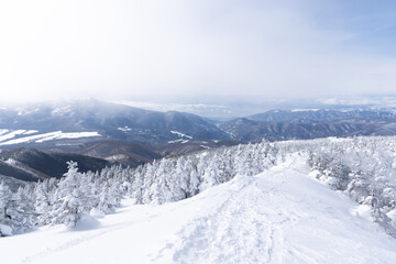 四阿山　冬　登山