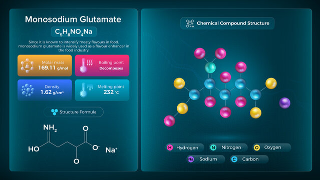 Monosodium Glutamate Properties and Chemical Compound Structure -  Vector Design