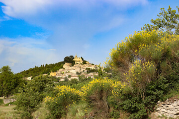 Fototapeta na wymiar Blick auf Bonnieux im Luberon, Provence, mit blühendem Ginster im Vordergrund