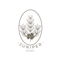 Juniper Outline Logo Premium Vector Design