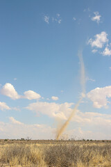 Dust Devil or Whirlwind in the Kgalagadi