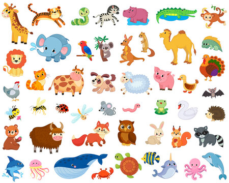 Big set of african, forest, domestic and sea animals and insects. vector image