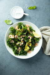 Healthy kale salad with shrimps