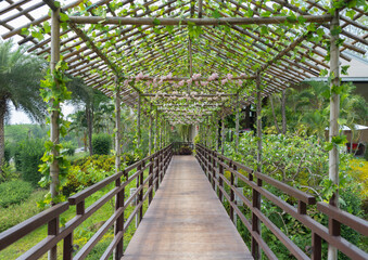 Walkway and bamboo arch on bridge in square shape decorated with flowers and leaves