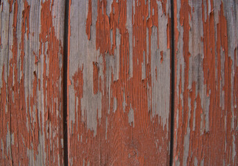 Fototapeta na wymiar background old gray wood with shabby paint, with gaps between boards, knots. Weathered and faded natural wood with lines of boards, with space for text 