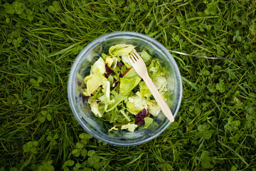 Vegan food, healthy plant-based diet concept. Bowl of fresh salad with plastic food wrap on green grass, flat lay.