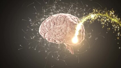 Digital animation of golden shooting star over spinning human brain against grey background - Powered by Adobe