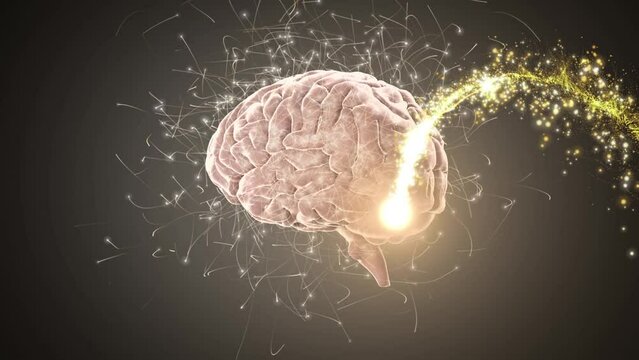 Digital animation of golden shooting star over spinning human brain against grey background