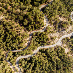 An overhead view of a winding road through a pine forest.