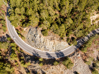 An overhead view of a winding road through a pine forest.