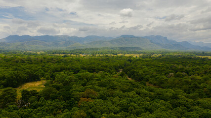 Obraz premium Aerial drone of Mountain slopes with rainforest and a mountain valley with farmland. Sri Lanka.
