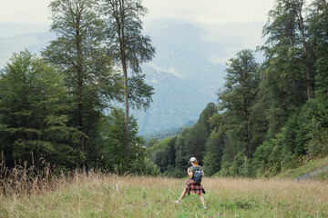 Fototapeta na wymiar Rear view of a young woman in a cap with a backpack walking in the forest highlands in the summer and touching a growing plant enjoying nature