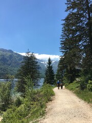 The people are walking thorough the walking trail around Lake Bohinj among the forests and with a view of the mountains of the Triglav Park.