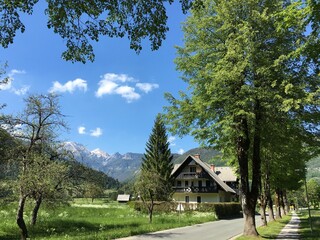 Obraz premium Mountain landscape with rustic wooden houses in the Triglav Park valley in Slovenia on a sunny summer day.