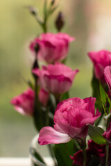 beauty bouquet in vase, pink eustoma