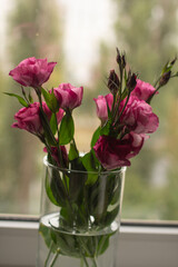 Fototapeta na wymiar beauty bouquet in vase, pink eustoma