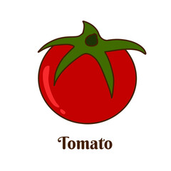 Hand drawn flat cartoon vector illustration of tomato isolated on white background