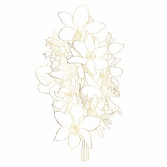 Golden sketch, spring flowers bouquet. Hand painted narcissus flowers isolated on white background for design, print or fabric.