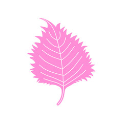 ピンク色のギザギザの葉