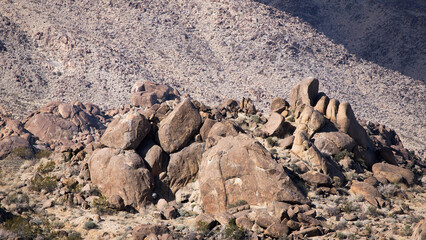 Fototapeta na wymiar Rock formations in the Joshua Tree Desert