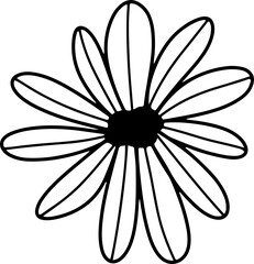 collection forest fern eucalyptus art foliage natural
leaves herbs inline style. Decorative beauty, elegant illustration 
Vector Flower Botanical