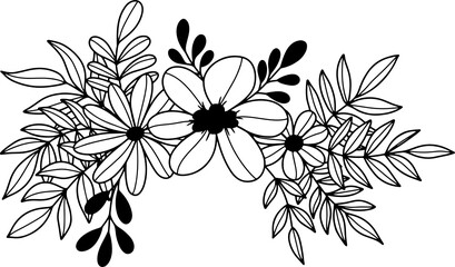 collection forest fern eucalyptus art foliage natural
leaves herbs inline style. Decorative beauty, elegant illustration 
Vector Flower Botanical