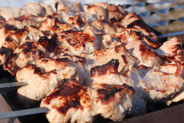 Kebab. Close-up. Meat on the fire, on skewers. Cooking meat on an open fire. Pork.