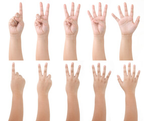 Group of Kid Hand Isolated on White Background : Hand Counts from one to five.