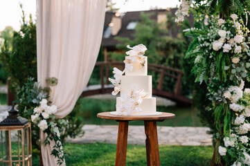 Amazing minimalist wedding cake white color
