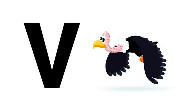 V letter big black like vulture cartoon animation. Animal loop. Educational serie with bold style character for children. Good for education movies, presentation, learning alphabet, etc...