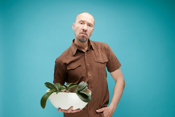 A bald adult man with funny emotion  holding orchid against on blue background.