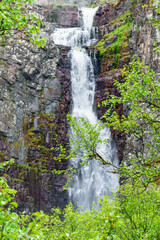 Waterfall with green tree branches in the foreground
