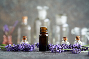 A bottle of essential oil with fresh blooming lavender plant