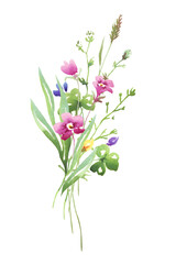 Wildflowers bouquet. Watercolor clipart