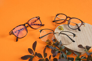 fashion eye glasses and plant branch on orange background